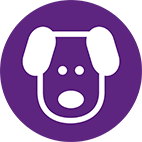 Vảy sừng vật nu&ocirc;i