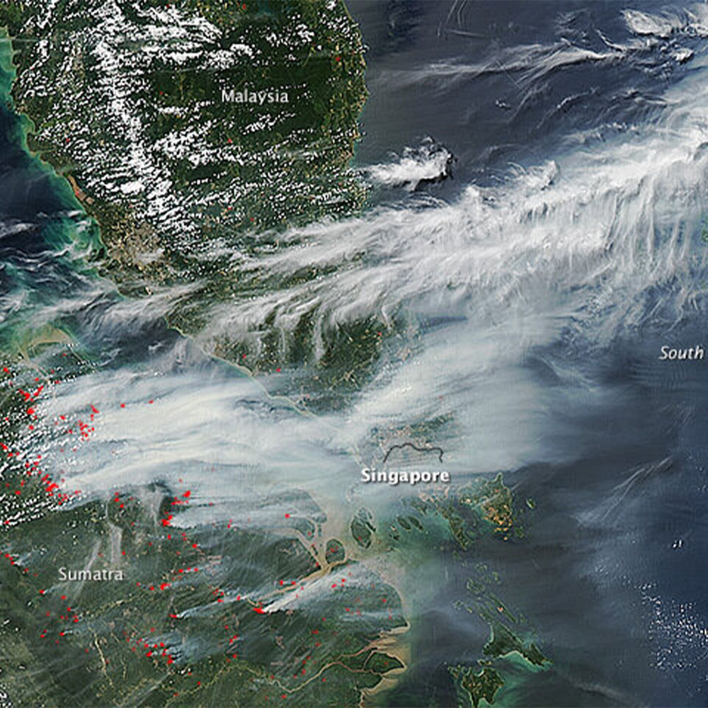 Kh&oacute;i m&ugrave; lan theo gi&oacute;