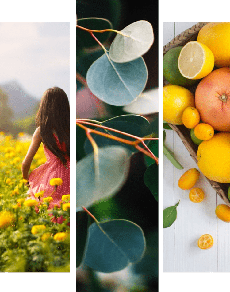 lập bản đồ t&acirc;m trạng